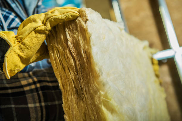Best Crawl Space Insulation  in Elberton, GA