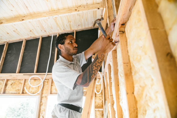 Best Insulation Replacement Services  in Elberton, GA