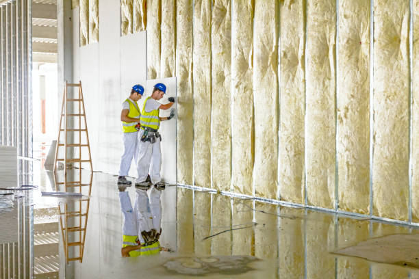 Best Insulation Inspection Services  in Elberton, GA